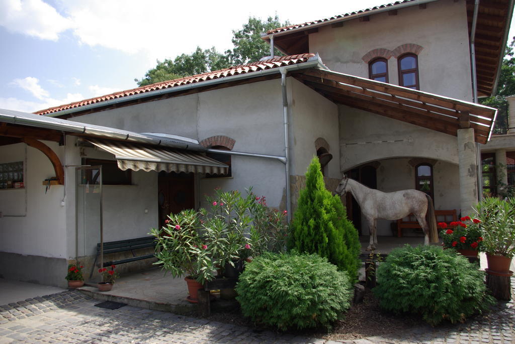 Hotel Dabasi Lovas Vendeghaz Zewnętrze zdjęcie